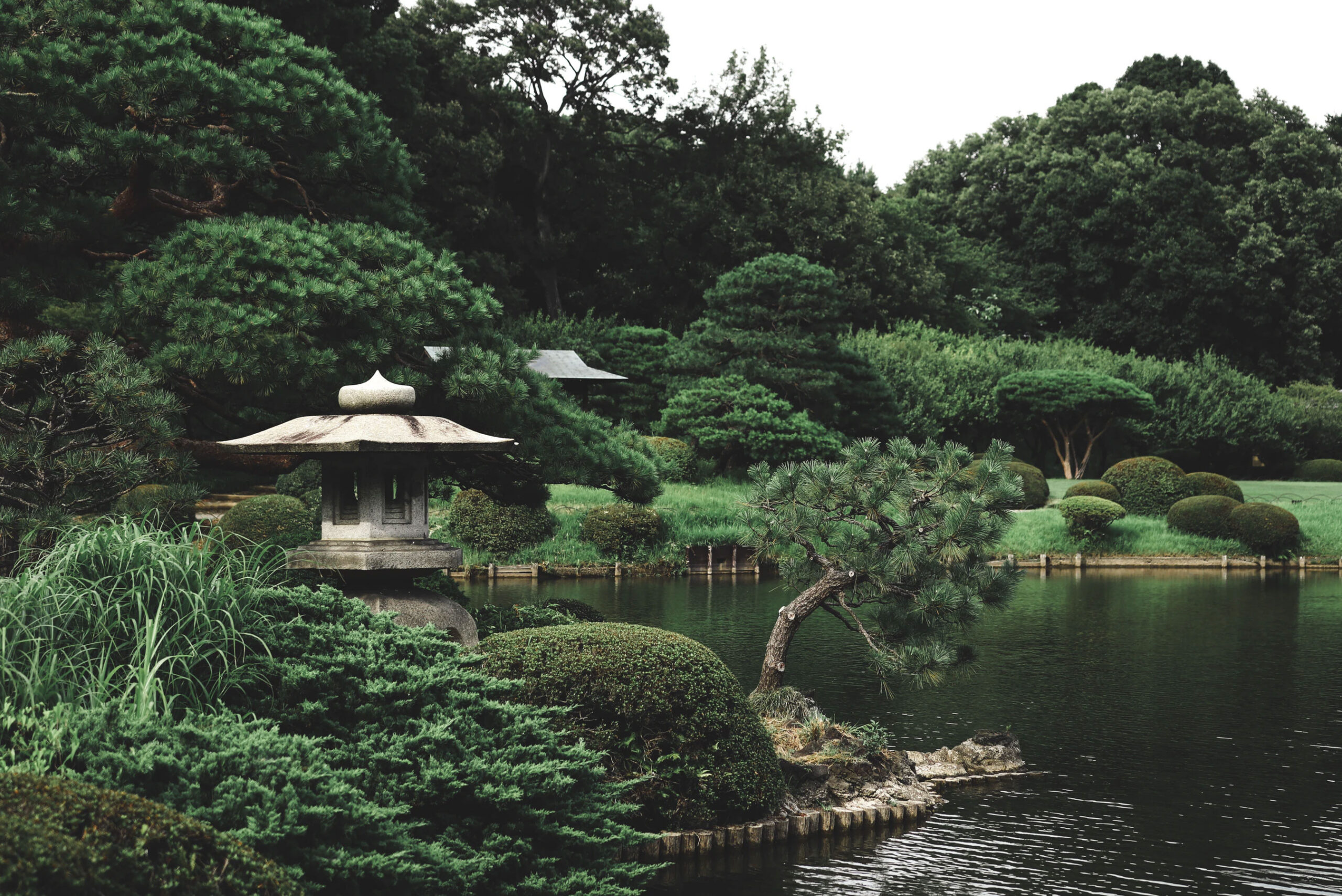 Zen Garden Trees Zen Garden Trees